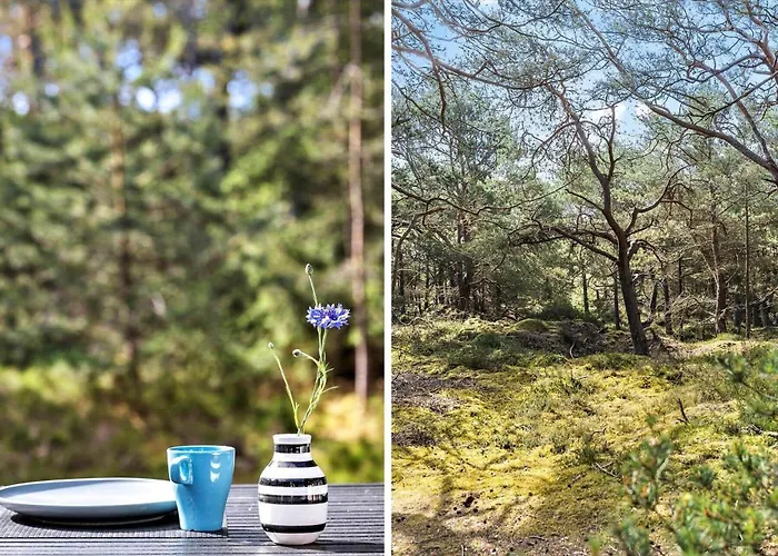 2702-nexo-sirenevej-16 *