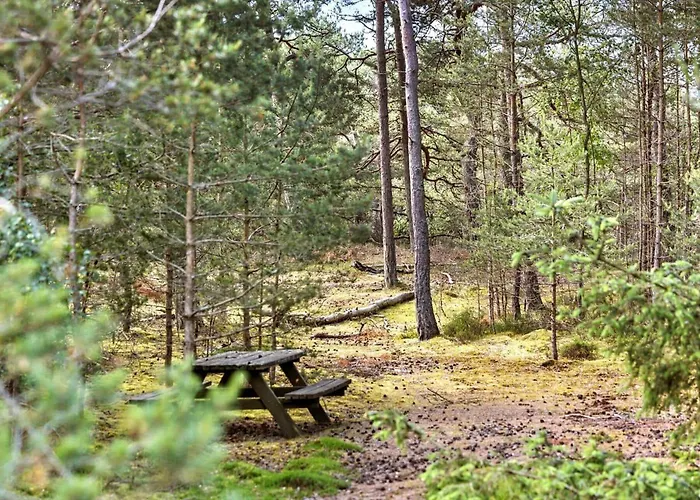 2702-nexo-sirenevej-16 Nexo